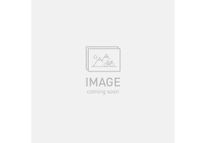allez sprint frmset copper multicolor blurred impasto / brushed liquid metal 54