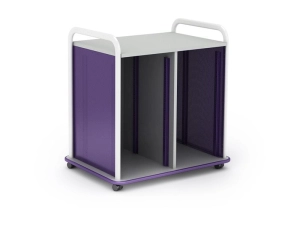 Paragon A&D Crossfit Storage - Trolley - 32 drawers - 16 gauge tubular steel, TFM CFD60OFTOTES17-918AZA